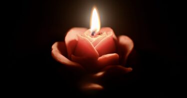 薬剤師の仕事はAIでなくなる？｜問い直すべき業務の本質と生存戦略