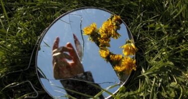 薬学部の強みを生かすエントリーシート｜背景と自分の軸の見つめ方